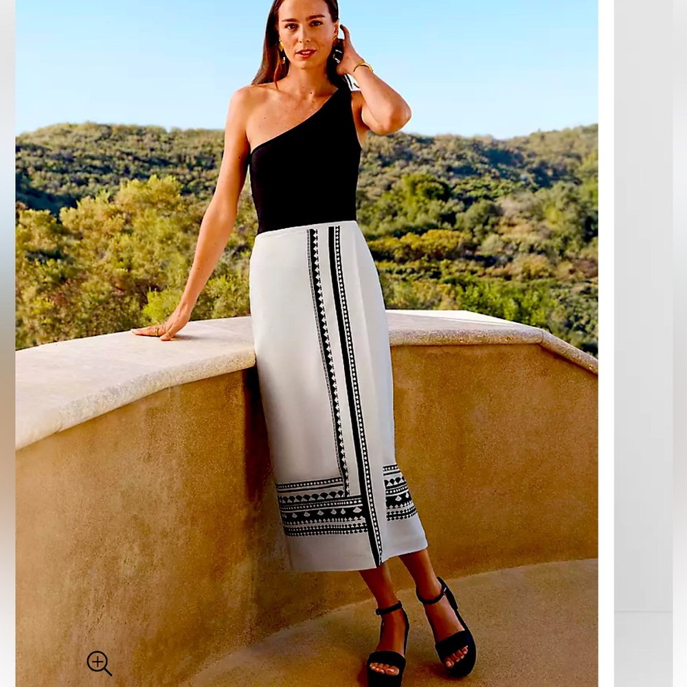 Ann taylor skirt nwt